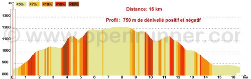 The race profile - pretty much straight up and down with a few bumps here and there. The route was extended to 17,3km