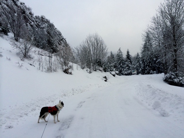 The road up into our village was sheet ice with patches of deep snow