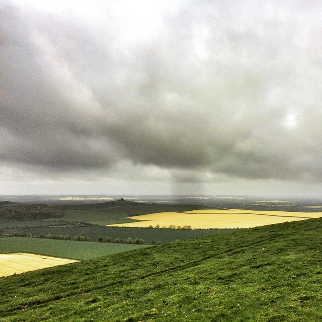 Looking south out onto the fields of rapeseed